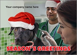 Canine Exam Christmas Card