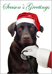 Veterinarian Christmas Card