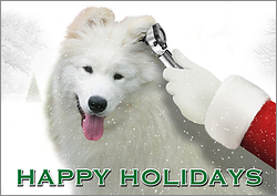 Veterinarian Exam Holiday Card