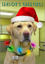 Veterinarian Patient Christmas Card